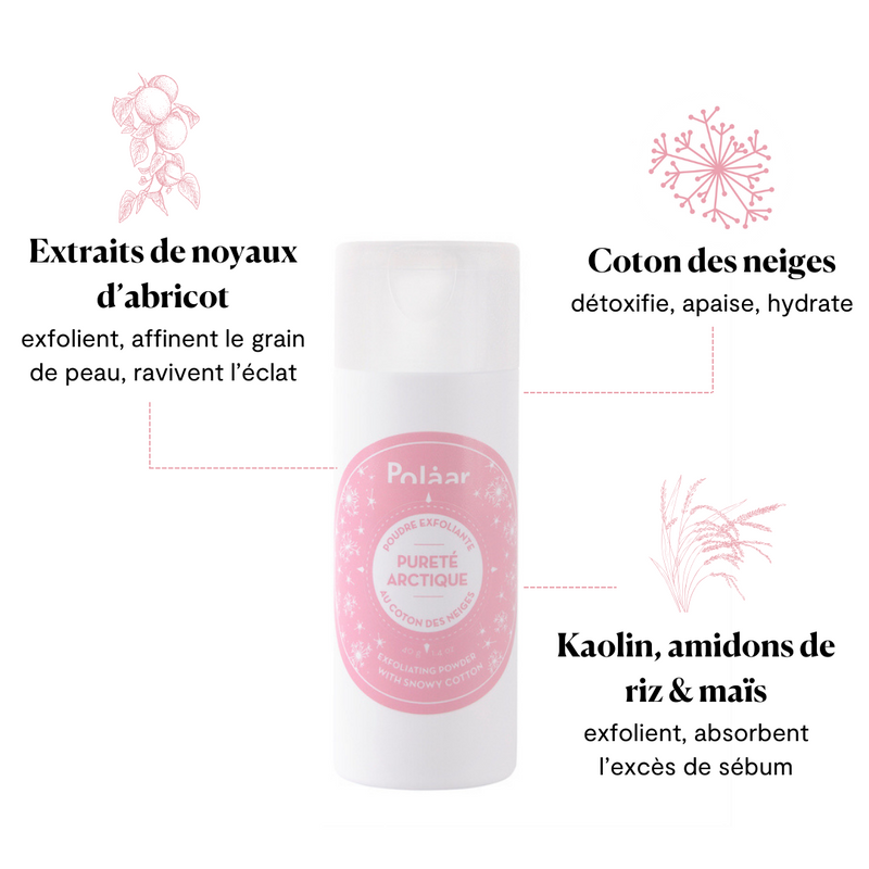 Exfoliating Powder Pureté Arctique
